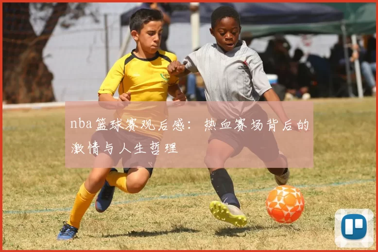 nba篮球赛观后感:热血赛场背后的激情与人生哲理