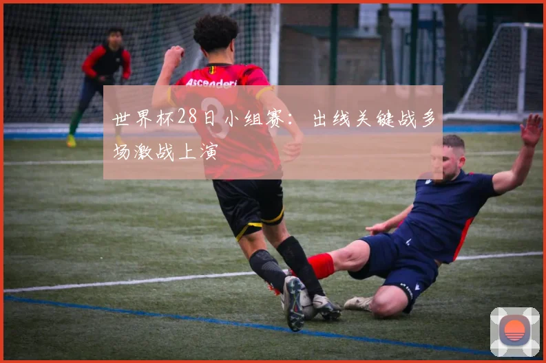世界杯28日小组赛：出线关键战多场激战上演