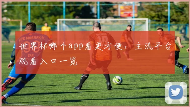 世界杯哪个app看更方便,主流平台观看入口一览