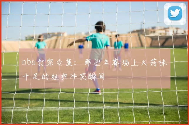 nba打架合集:那些年赛场上火药味十足的经典冲突瞬间