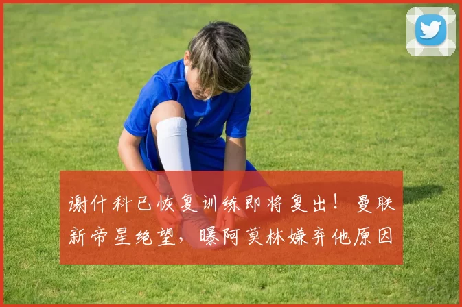 谢什科已恢复训练即将复出!曼联新帝星绝望,曝阿莫林嫌弃他原因