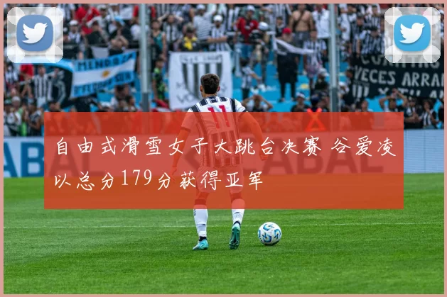 自由式滑雪女子大跳台决赛 谷爱凌以总分179分获得亚军
