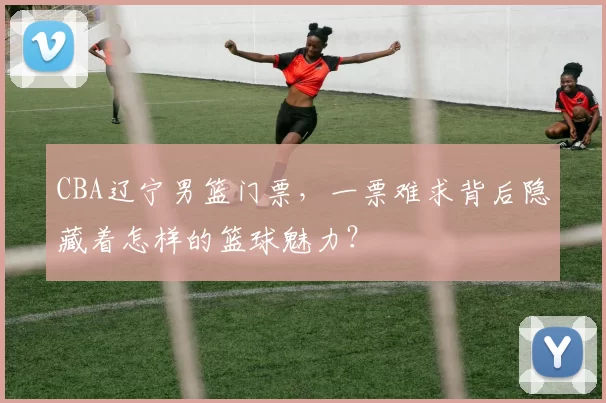 CBA辽宁男篮门票,一票难求背后隐藏着怎样的篮球魅力?