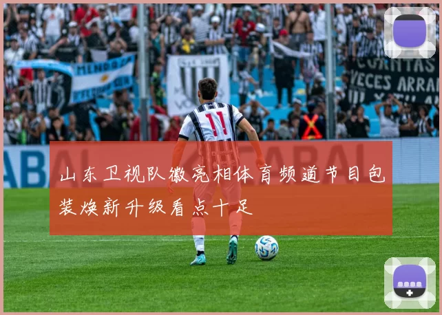 山东卫视队徽亮相体育频道节目包装焕新升级看点十足