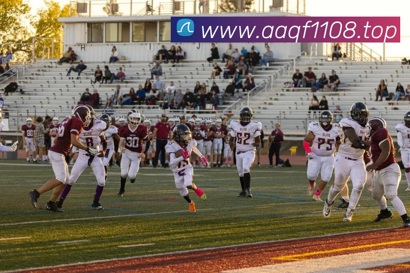 kaiyun开云官方网页版 - kaiyun开云(中国)发展历程