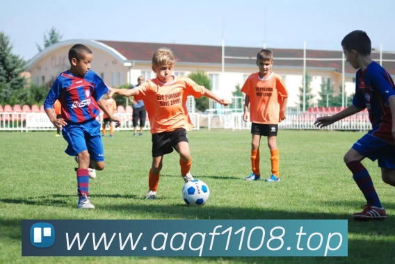 kaiyun开云官方网页版 - kaiyun开云(中国)发展历程